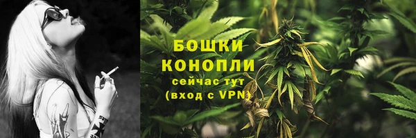 PSILOCYBIN Алексеевка