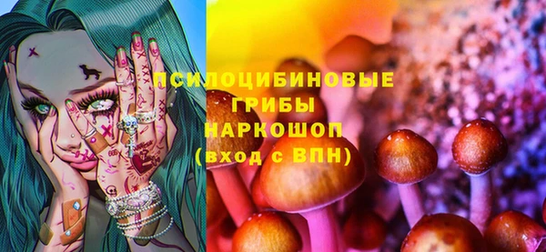 PSILOCYBIN Алексеевка