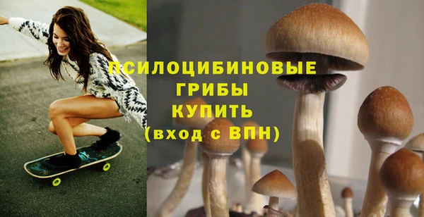 PSILOCYBIN Алексеевка