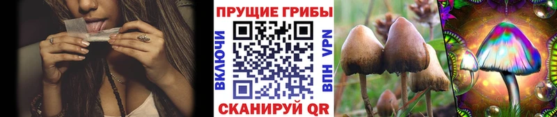 Галлюциногенные грибы ЛСД наркотики Харабали